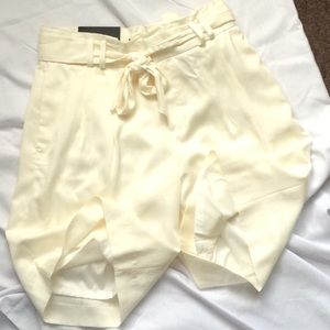 10.5” Avery Shorts fully Lined